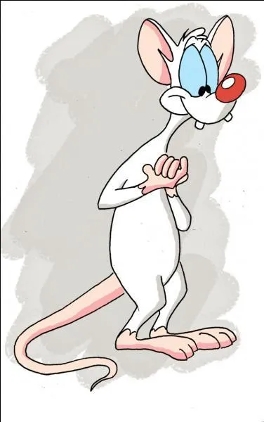 Minus et Cortex est une srie qui met en scne deux souris du laboratoire dsirant conqurir le monde. Qui est ce personnage ?