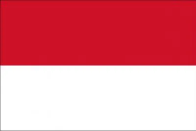 Quel pays porte ce drapeau ?