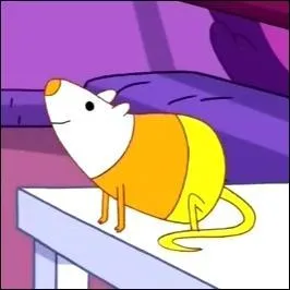 Quel est le nom du rat de la princesse Chewing-gum ?