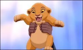 Comment appelle-t-on les bbs des lions ?