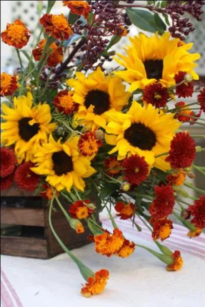 Couleur du soleil  son znith et  son coucher pour ce bouquet associant de faon inattendue deux fleurs, les normes tournesols et les petits fleurs couleur caramel qui sont les ... ?