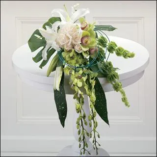 Tout en douceur, cet lgant bouquet fait une grande place aux plantes de couleur vert, dont les clochettes irlandaises, et ces fleurs qui retombent en cascade et qui sont... ?