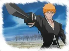 Au dbut, qui est Ichigo Kurosaki ?