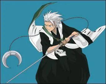 Qui est Toshiro Hitsugaya ?