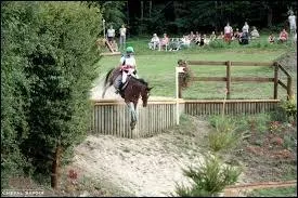 Quel est l'obstacle ci-contre ?