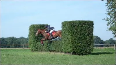 Quel est l'obstacle ci-contre ?