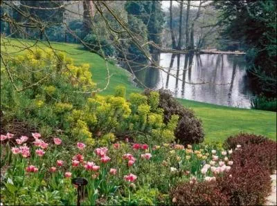 Vous avez aim faire une halte sur le tapis tal par Dame Nature au bord des eaux bleuies ---------- au miroir que l'on ------------. Compltez avec la bonne orthographe.