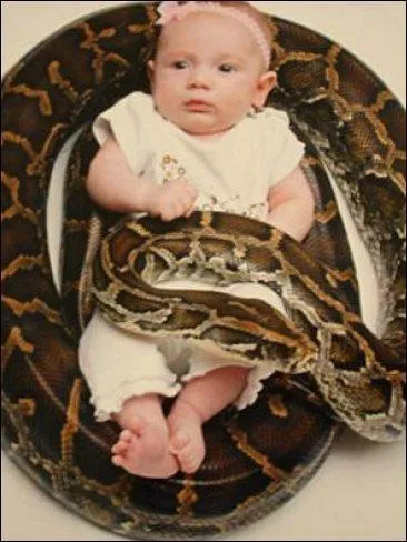 Quand vient l'mardi, la grande Zoa -- Met ses bijoux, ses chinchillas !