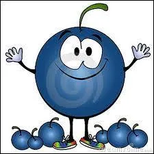 La treizime est un rgal de fruit, c'est la bilberry, au nom amusant. Qu'est donc la baie Bil, qui fait les dents noires ?