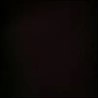 La sixime est noire, puisqu'elle se nomme BlackBerry, black signifiant noir. Qu'est donc la baie noire ?