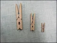 La huitime est l'ane, puisqu'elle se nomme elderberry, elder signifiant an(e). C'est une baie dlicieuse moins utilise aujourd'hui. Qu'est donc la baie ane ou ane des baies ?