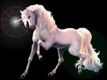 Quel est le nom de ce cheval ?