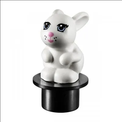 Qui a trouv un lapin ?