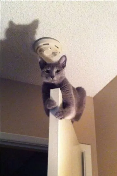 Expression significative d'un grand dsordre !