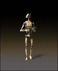 Qui est reprsent sur cette photo ?