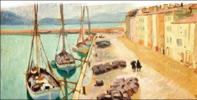 Qui a peint Saint-Tropez ?