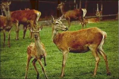 Les habitants de cette commune sont :