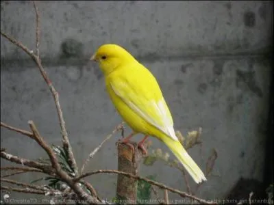 Les habitants de cette commune sont :