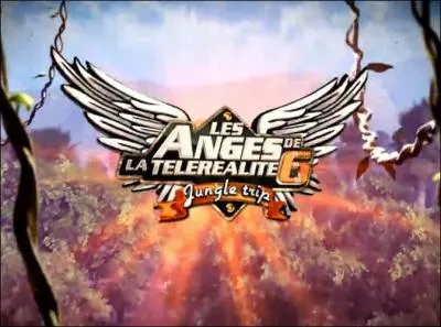 Qui est parti dans la jungle ?