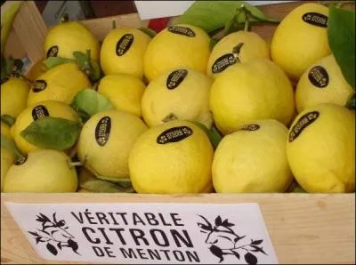 Situe sur l'ancienne frontire avec l'Italie, la ville de Menton possde deux spcialits gastronomiques. Tout le monde connat le citron (IGP en cours) mais quelle est la seconde ?