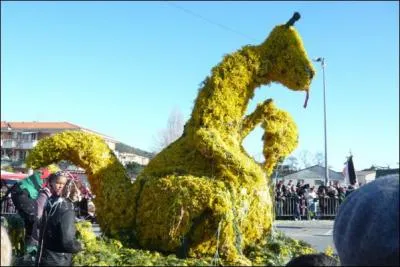 Dans quelle ville a lieu chaque anne,  la fin de l'hiver, la grande  Fte du mimosa  ?