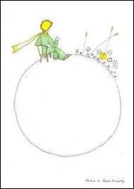 Combien de couchers de soleil le petit prince vit-il en 1 jour ?