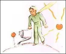 Que demande la rose au petit prince, en deuxième ?