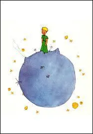 La Terre est la --------- planète où le petit prince est allé.