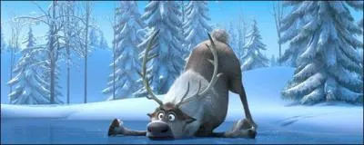 Comment s'appelle le renne ?