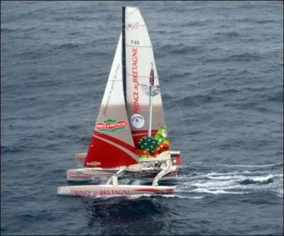 De quelle ville franaise, les quipages de la course transatlantique en solitaire  la Route du rhum  prennent-ils le dpart pour rallier Pointe--Pitre ?