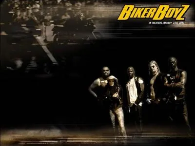 Quelles sont les couleurs des Biker Boys ?