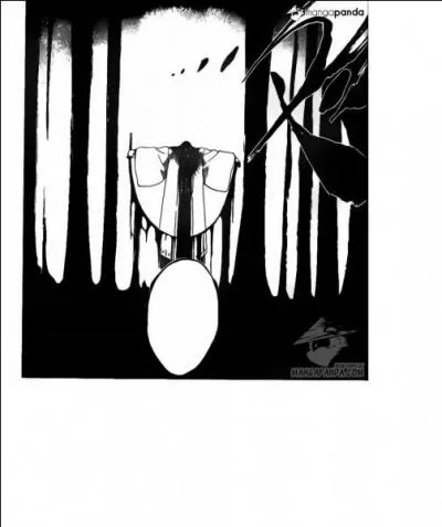 A qui appartient ce zanpakuto ?