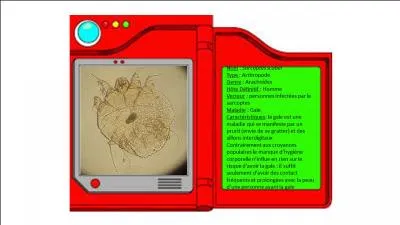 En route vers l'obtention de son dernier badge Gramm rencontre un nouveau parasite sauvage : Sarcoptes Scabiei. La parasitose cause par cet arthropode est trs connue vu qu'il s'agit de la gale.
O vit le sarcopte une fois qu'il est dans notre corps ?