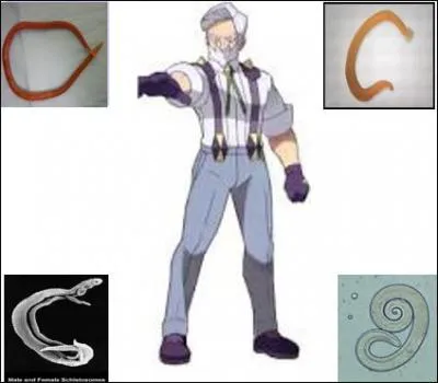 Le priple de Gramm dans la ligue Parasite dmarre par l'affrontement face aux membres du redoutable conseil des 4, conseil compos des 4 meilleurs parasitologues de la rgion. Cela commence par le combat face  Solid Snake le spcialiste des vers. 
Laquelle de ces classes de vers n'existe pas ?