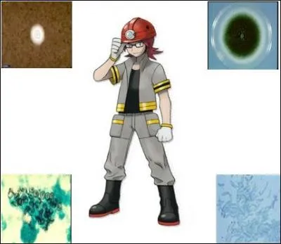 Aprs ce combat difficile, il entre dans la salle de Toadstool spcialiste des champignons. Gramm sait qu'il existe 2 types de champignons (levure et filamenteux) et cela lui sera bien utile.
Lequel de ces champignons est une levure ?