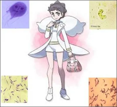 Gramm a du mal avec le conseil des 4 et la suite ne semble pas plus facile pour lui. Il est temps de rencontrer Cell or Moune la spécialiste des protozoaires. Le fait que Gramm sache que les protozoaires sont des êtres unicellulaires lui sera inutile.
Quel protozoaire est responsable d'infection materno-ftale ? Cela signifie que l'infection de la femme enceinte peut entraîner celle du ftus.