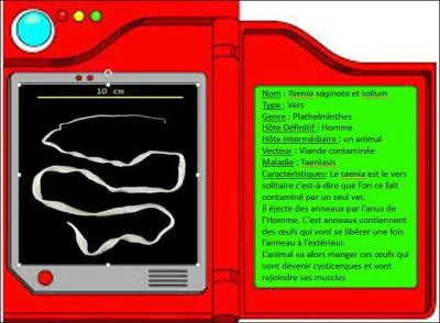 Malgré son titre de maître, les affaires continuent pour Gramm qui doit aller dans la grotte azurée pour rencontrer les 2 vers légendaires : Taenia saginata et Taenia solium. Ces derniers se contractent en mangeant de la viande contaminée.
Quelles viandes faut-il manger pour les avoir ?