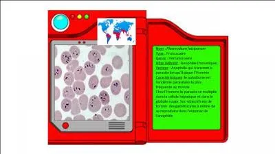 Les choses srieuses dmarrent pour Gramm ; il quitte enfin Bourg-Cath. Sur son chemin, il rencontre un parasite sauvage qu'il reverra souvent lors de son priple. Ce parasite est responsable de la parasitose la plus frquente au monde : Plasmodium falciparum.
Quel est le nom de cette parasitose ?