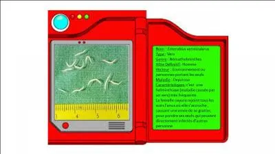 Aprs avoir vaincu El Fouche, notre hros reprend sa route pour devenir parasitologue. Tout se passait pour le mieux quand, tout  coup, il se retrouve face  un parasite sauvage responsable de l'helminthiase (parasitose due  un ver) la plus frquente : Enterobius vermicularis connu sous le nom d'oxyure.
Quelle population est particulirement touche par l'oxyurose (infection  l'oxyure) ?