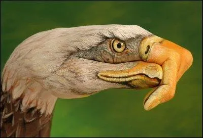 Il est l'un des quatre vautours du  Livre de la jungle , ses trois amis s'appellent Ziggy, Flaps et Buzzie, mais lui c'est ...