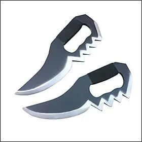 Quel ninja se bat avec ces lames ?