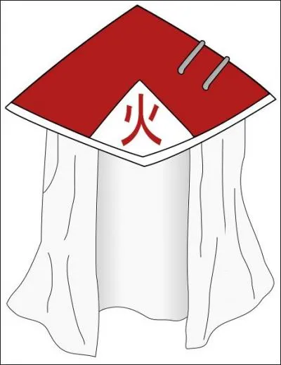 Qui porte cette coiffe ?