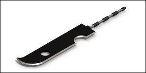 Quel ninja possde cette pe lgendaire ?