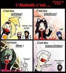 Comment sont les membres de l'Akatsuki ?