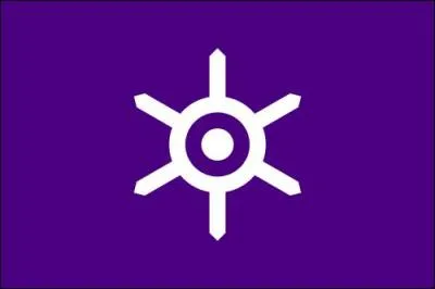 De quelle ville est ce drapeau ?