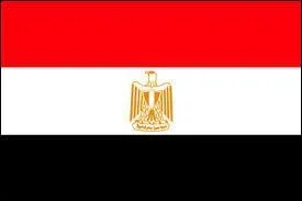 De quel pays est ce drapeau ?