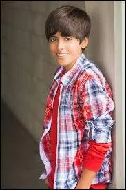 Quel acteur joue Ravi Ross ?