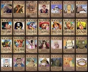 Y a-t-il tous les membres de l'quipage de Luffy ?