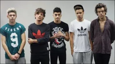 Avec quel groupe les One Direction sont-ils amis ?