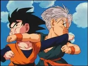 A quoi participent Sangoku et ses amis tous les 3 ans ?